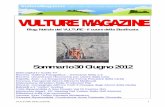 Vulture Magazine, 30 Giugno 2012