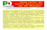 PD XX Municipio News Letter Novembre 2011