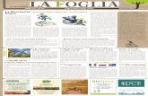 LA FOGLIA - Eco Agenda di Roma