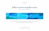 Metamorphosis - un anno di poesia