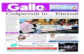 Il Gallo Nr. 04 del 18/02/2012