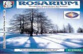 Rosarium 2000-01