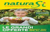 Volantino NaturaSì - Novembre 2013