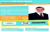 Stefano Pasquino - Elezioni Comunali Vercelli maggio 2014