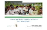 Monsanto Argentina il semina diretta