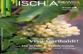 Ischia News ed Eventi - Settembre Viva Garibaldi! .... tra terme e vendemmia