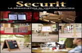 Securit 2012 / 2013 IT