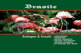 BRASILE (ecologico e circuiti)