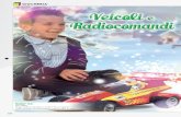 Giocheria Veicoli e Radiocomandi Natale 2013