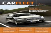 CarFleet 49 esecutivo web