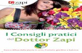 Catalogo Zapi