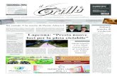 Periodico Il Grillo - anno 4 - numero 36 - 6 novembre 2010