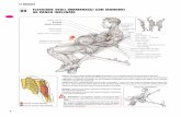 Pagine da Esercizi di muscolazione