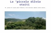 Piccola Silvia Staiti
