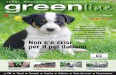 Green Line - Maggio 2011