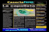 Casertafocus n17