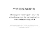 Workshop Cane11i_Intro