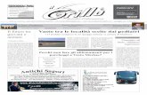 Periodico Il Grillo - anno 4 - numero 19 - 29 maggio 2010