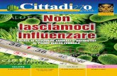 Cittadinonews anno 2 n 11