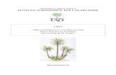 Libia Al JUfrah - Meccanizzazione del palmeto