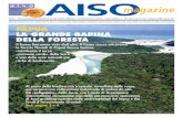 Aiso Magazine