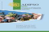 Adipso news giugno2013