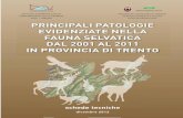 Principali patologie nella fauna selvatica dal 2001 al 2011 in provincia di trento. Schede tecniche
