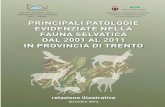Principali patologie nella fauna selvatica dal 2001 al 2011 in provincia di Trento. Relazione