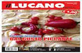 Il Lucano Magazine Numero novembre 2013