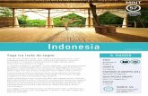 Brochure di viaggio Mint 57º Indonesia
