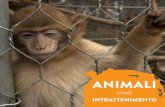Animali come INTRATTENIMENTO | Pieghevole