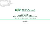 Report delle attività dei CSV 2012