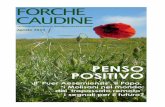 Newsletter Forche Caudine