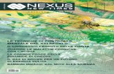Nexus New Times 111 anteprima