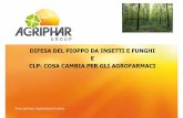 Agriphar Linea Pioppo 2015 - Aggiornamento CLP