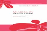 Mimosa strategia 2014-2017