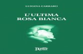 L'ultima rosa bianca di Luigina Carraro