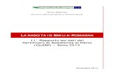 Rapporto Cedap 2013 Emilia-Romagna
