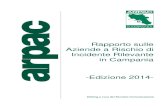 Rapporto sulle Aziende a Rischio di Incidente Rilevante in Campania - Edizione 2014