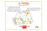Pumo - Taruschio Ceramica