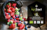 Agrifruct // L'esperienza dà i suoi frutti (english)