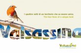 Brochure Valsassina