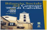 Bilancio Sociale Calvello 2008