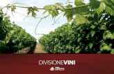 Gruppo Grifo Agroalimentare - Divisione vini