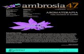 Ambrosia 47 Alloro