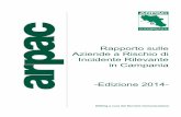 Rapporto r i r 2014 pdf