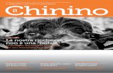 Il Chinino (num. 4, agosto 2012)