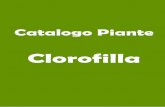 Catalogo piante clorofilla