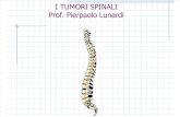 Tumori spinali