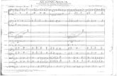 Astor Piazzolla Aconcagua N–1(Bayan.orkhestra)